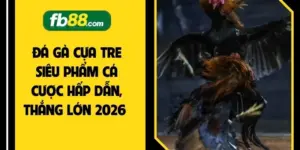 Đá Gà Cựa Tre Siêu Phẩm Cá Cược Hấp Dẫn, Thắng Lớn 2026 