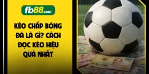 Kèo Chấp Bóng Đá Là Gì? Cách Đọc Kèo Hiệu Quả Nhất