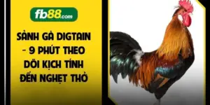 Sảnh Gà Digtain - 9 Phút Theo Dõi Kịch Tính Đến Nghẹt Thở