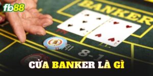 Cửa Banker Là Gì