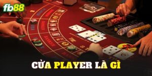 Cửa Player Là Gì