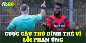 Cược Cầu Thủ Dính Thẻ Vì Lỗi Phản Ứng